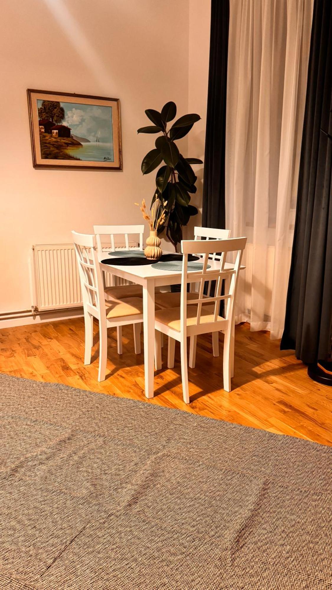 Gavas Urban Horea Apartment Cluj-Napoca